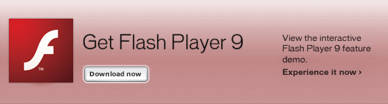 Get the latest Flash player